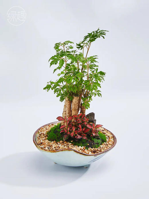 精品至礼 | 福禄迎喜 商品图1