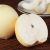 【YQ严选】河北·皇冠梨 脆甜雪梨 新鲜水果梨子整箱包邮 商品缩略图1