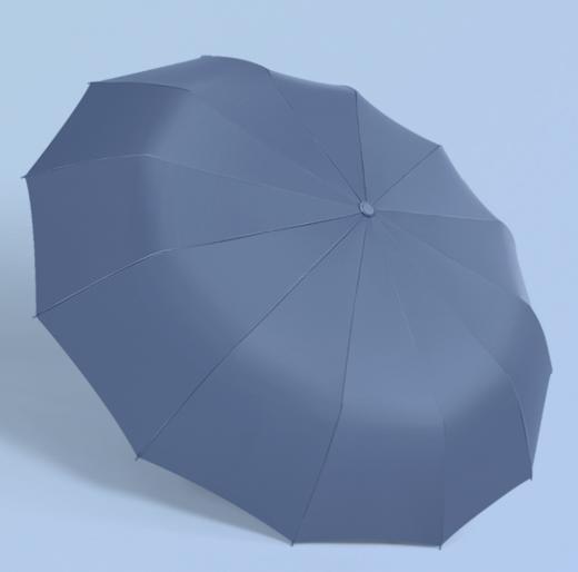 【雨伞】12骨全自动晴雨伞抗风遮阳折叠 商品图1