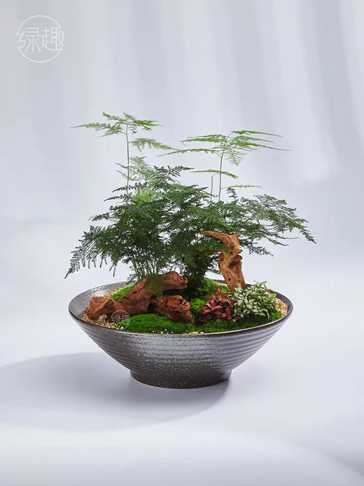 【满299抽大奖】匠心臻礼 | 千山一碧 商品图1