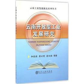 云南开放型工业发展研究/和段琪,蒋兴明,梁双陆,等