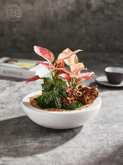 致尚高定 | 如意芳菲 商品图0