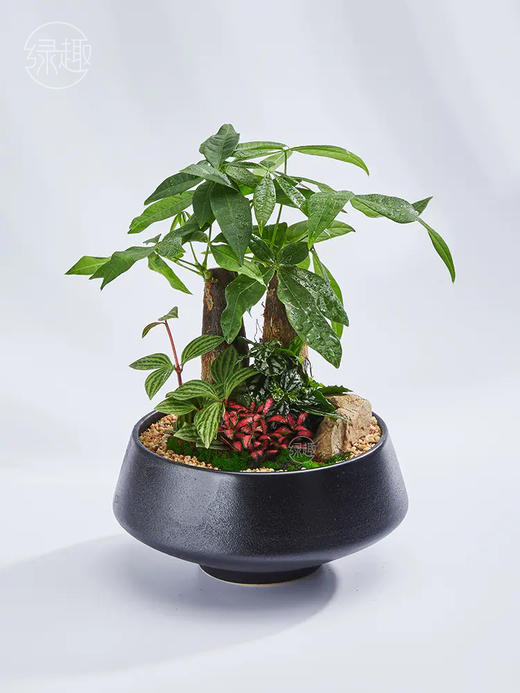 致尚高定 | 财运亨通 商品图1