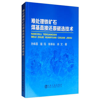 难处理铁矿石煤基直接还原磁选技术/孙体昌,寇珏,徐承焱,余文 商品图0