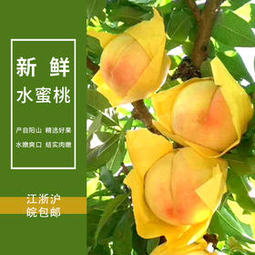 【江浙沪皖发货】阳山水蜜桃 无锡阳山水蜜桃自有果园水蜜桃现采现货