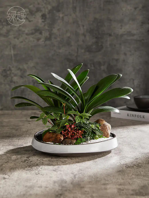 匠心臻礼 | 贤才君子 商品图0