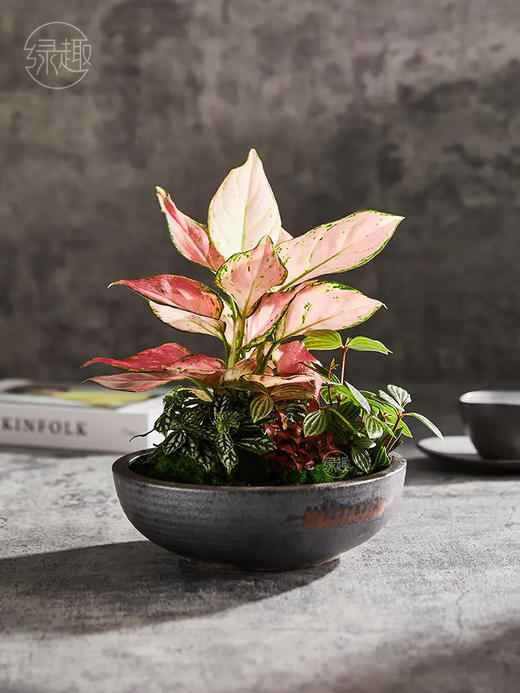 致尚高定 | 万事如意 商品图0