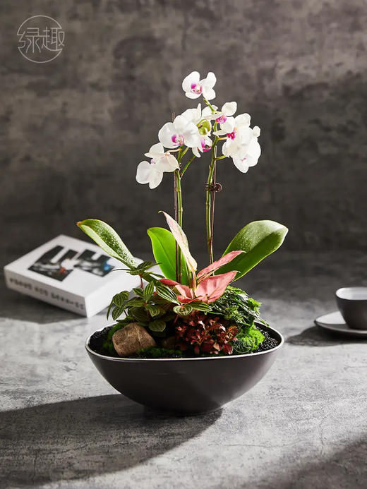 致尚高定 |闲梦悠云 商品图0