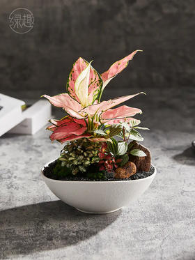 致尚高定 | 如梦芳华