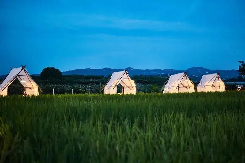 【小草垛田野农场】248元2大1小!稻田里的泰式烤肉,你想要的诗意夏天!