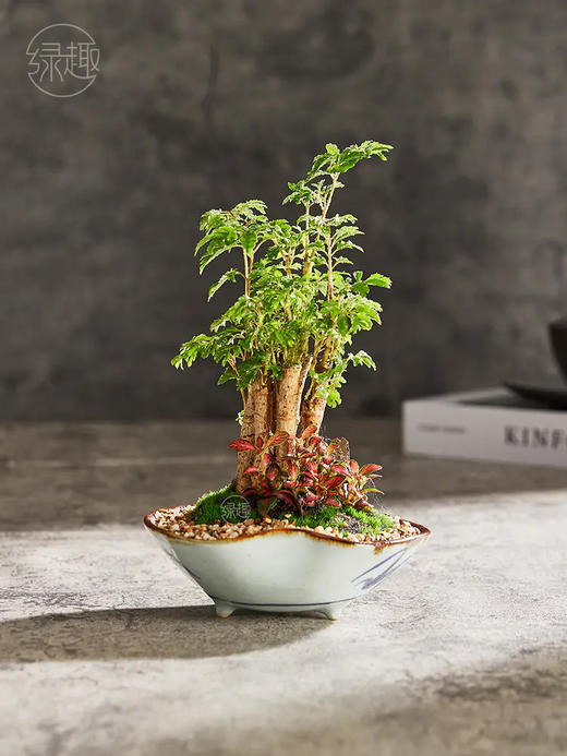 精品至礼 | 福禄迎喜 商品图0