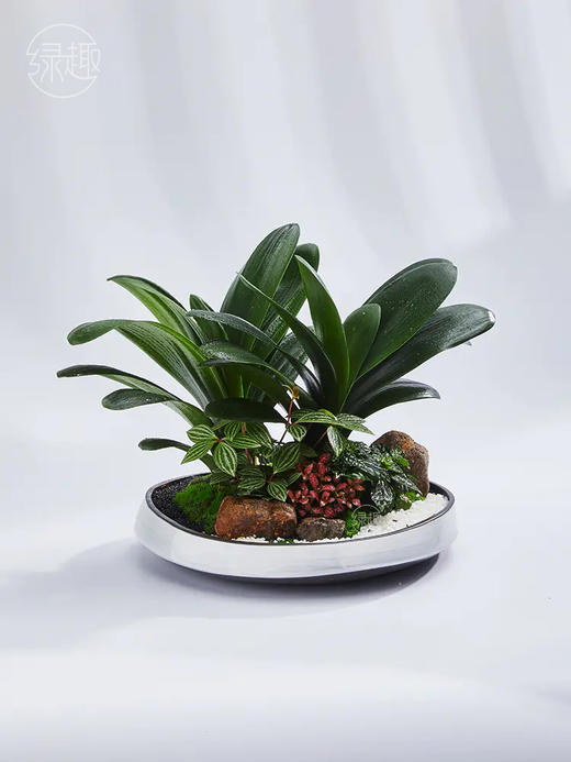 匠心臻礼 | 贤才君子 商品图1