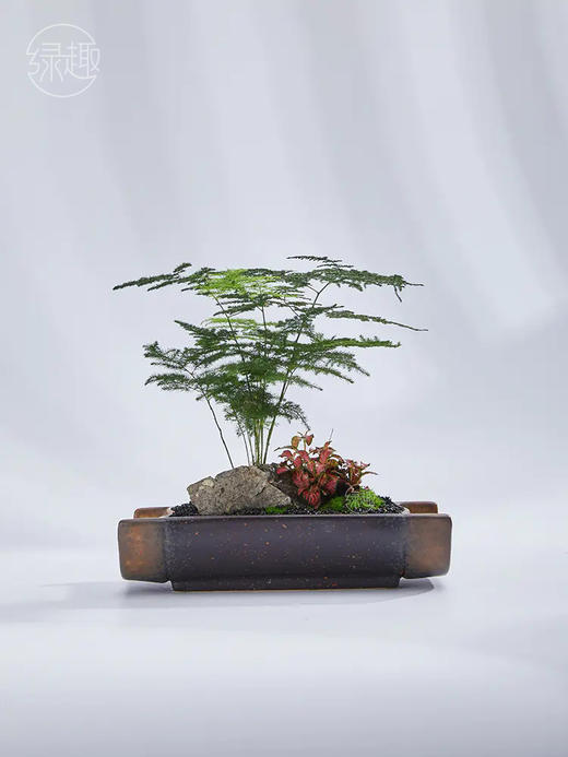 精品至礼 | 一碧千里 商品图1