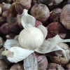 【现挖现发·云南独头蒜】 洁白脆嫩 鲜辣辛香 产地直发 3斤大果装 商品缩略图4