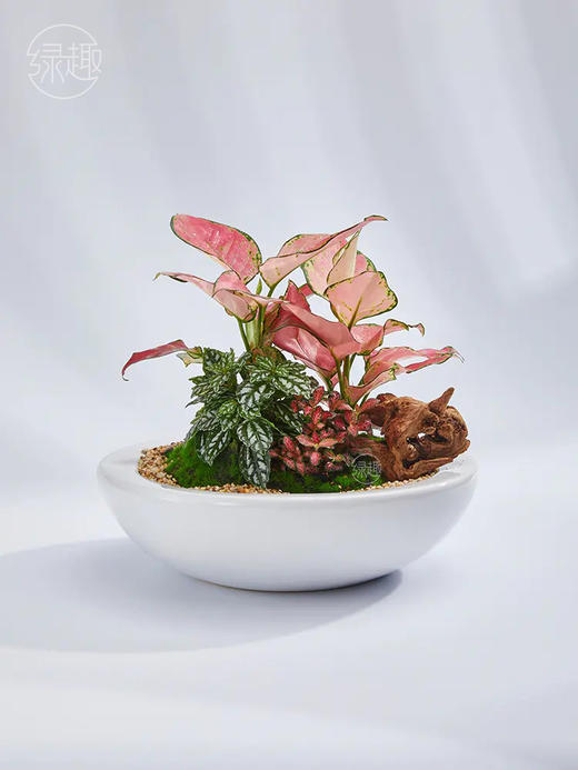 致尚高定 | 如意芳菲 商品图1