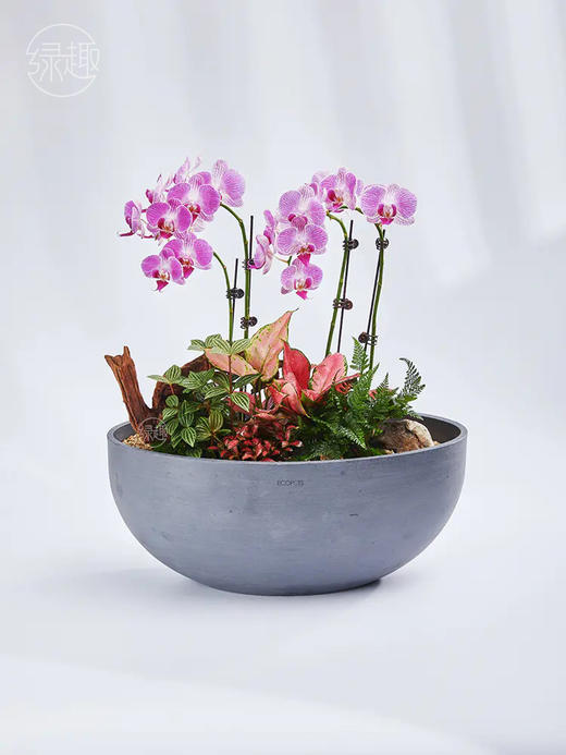 匠心臻礼 | 阆苑仙姿 商品图1