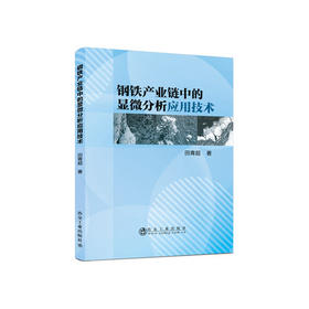 钢铁产业链中的显微分析应用技术/田青超
