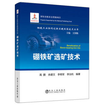硼铁矿选矿技术/高鹏,余建文,李艳军 商品图0