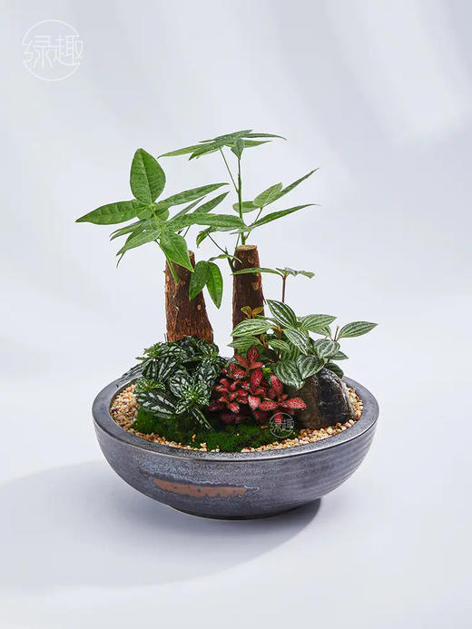 致尚高定 | 双喜临门 商品图1