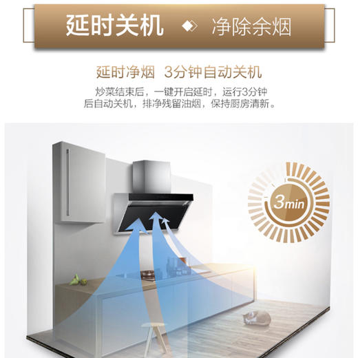 海尔（Haier）烟机CXW-219-C1903 商品图6