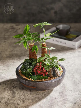 致尚高定 | 双喜临门