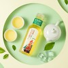 东方树叶乌龙茶500ml*15瓶 商品缩略图3