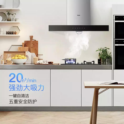海尔（Haier）烟机CXW-219-T3J07 商品图4