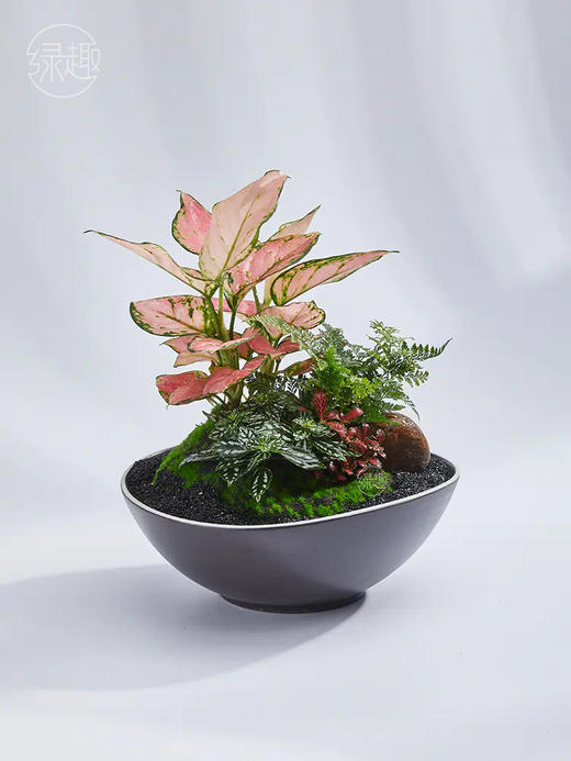 匠心臻礼 | 吉光如意 商品图1