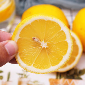 【黄柠檬•四川安岳】新鲜柠檬 酸嫩多汁 可泡水制作冷菜 15枚装