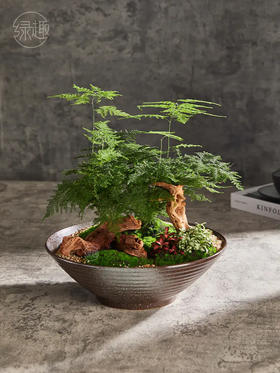 【满299抽大奖】匠心臻礼 | 千山一碧