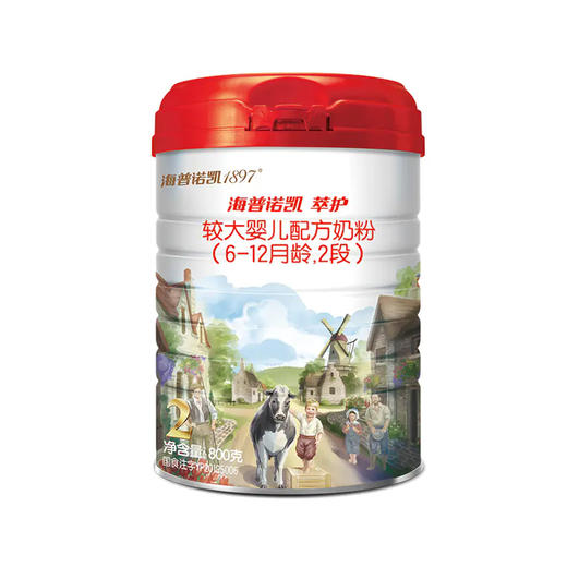 荷兰罐装进口 海普诺凯1897 萃护 较大婴儿配方奶粉2段 800g 商品图0
