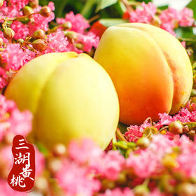 三湖黄桃锦绣黄桃红肉10斤装/箱