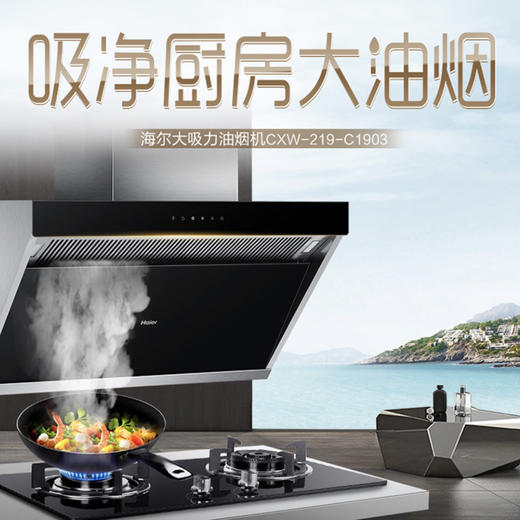 海尔（Haier）烟机CXW-219-C1903 商品图0