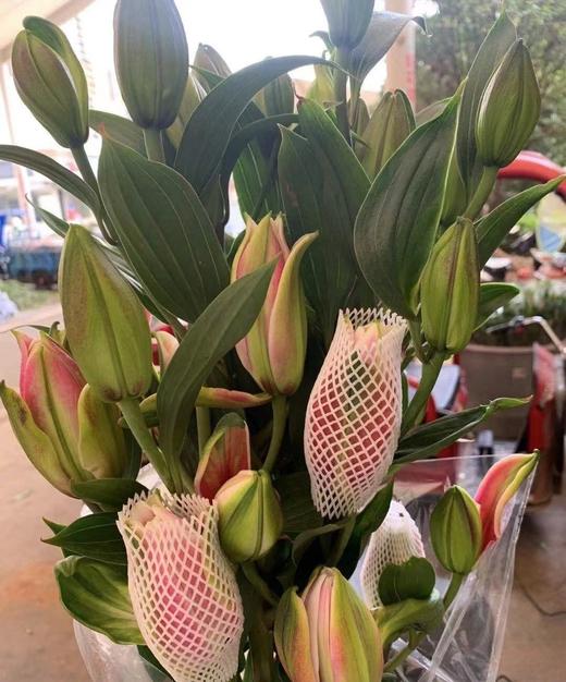 爆款重瓣百合火星之恋5支扎