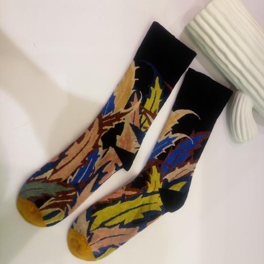 SIOICIKI SAW2A019设计师联名款荆棘丛中筒袜 商品图0