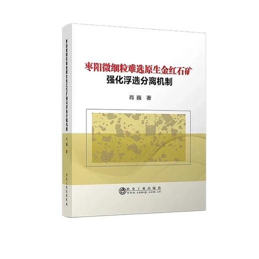 枣阳微细粒难选原生金红石矿强化浮选分离机制/肖巍 商品图0