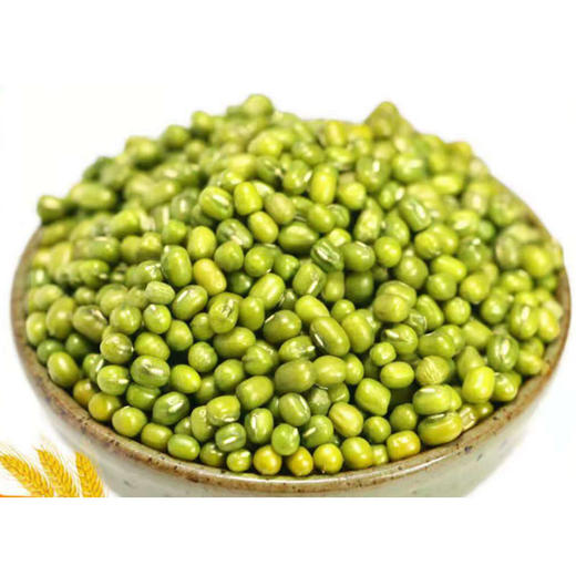 【10.8元2斤 】散明绿豆（0100574） 商品图0