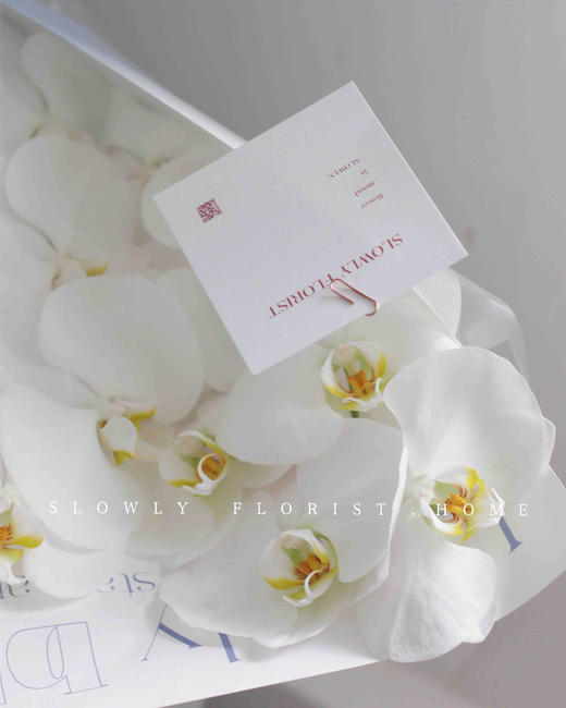 优雅蝴蝶兰花束 商品图4