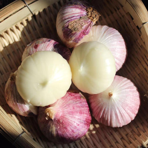 【现挖现发·云南独头蒜】 洁白脆嫩 鲜辣辛香 产地直发 3斤大果装 商品图1