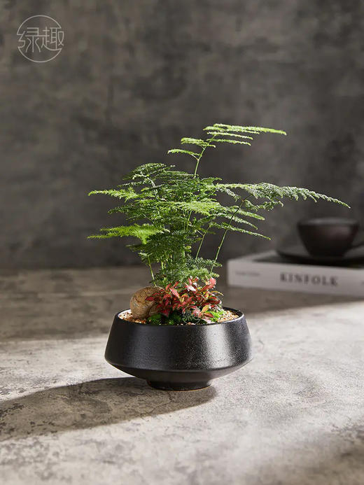 精品至礼 | 绿林好汉 商品图0