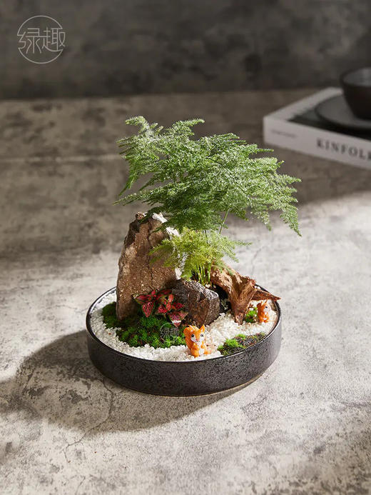 精品至礼 | 苍松翠柏 商品图1