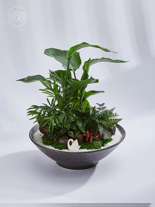 【满299抽大奖】致尚高定 | 景星庆云 商品图1