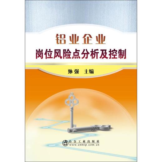 铝业企业岗位风险点分析及控制/孙强 商品图0