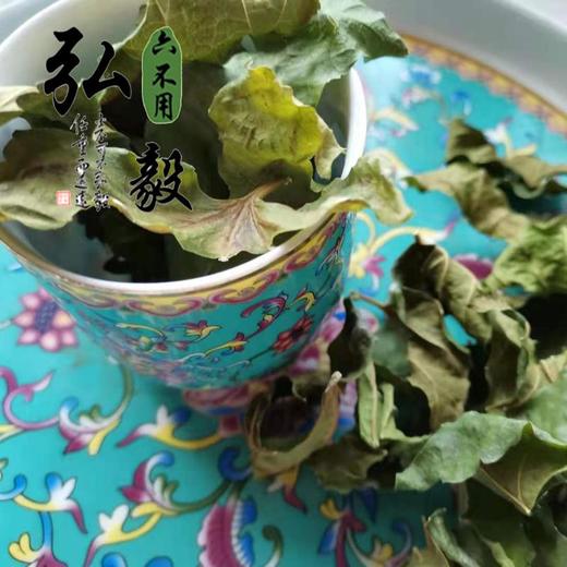 六不用  顺季节露地种植 桑叶50克/份 【弘毅六不用生态农场】 商品图1