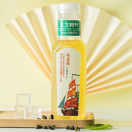 东方树叶乌龙茶500ml*15瓶 商品图1