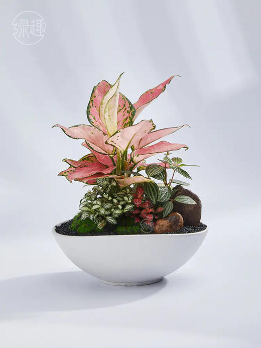 致尚高定 | 如梦芳华 商品图1