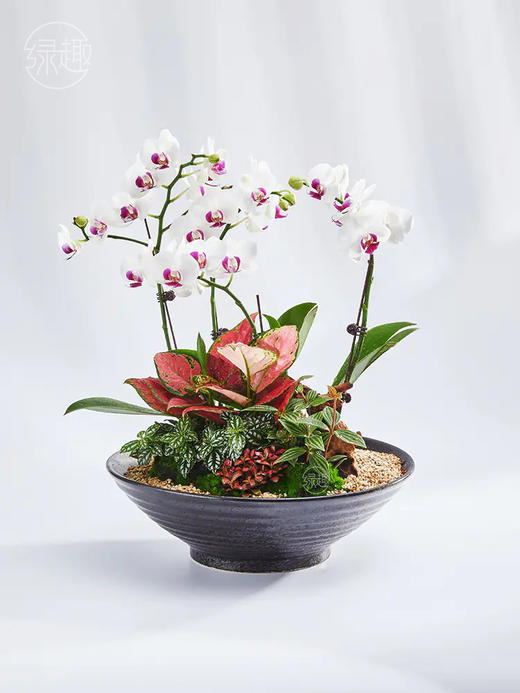 匠心臻礼 | 心想事成 商品图1