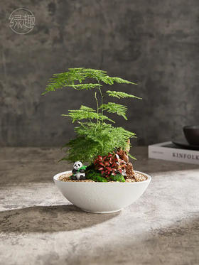 致尚高定 | 日月丽天