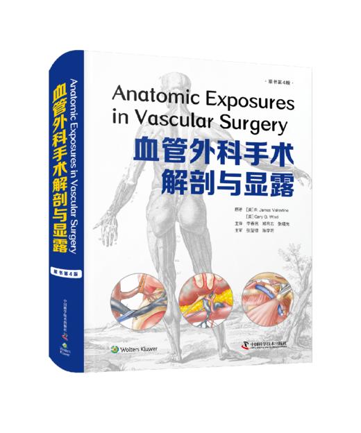 血管外科手术解剖与显露（原书第4版） 商品图1