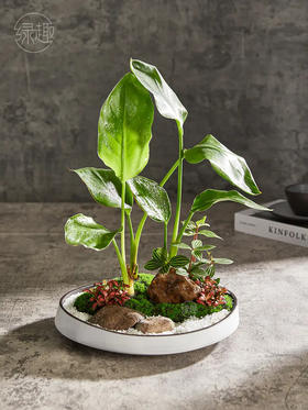 【满299抽大奖】匠心臻礼 | 仙鹤高飞